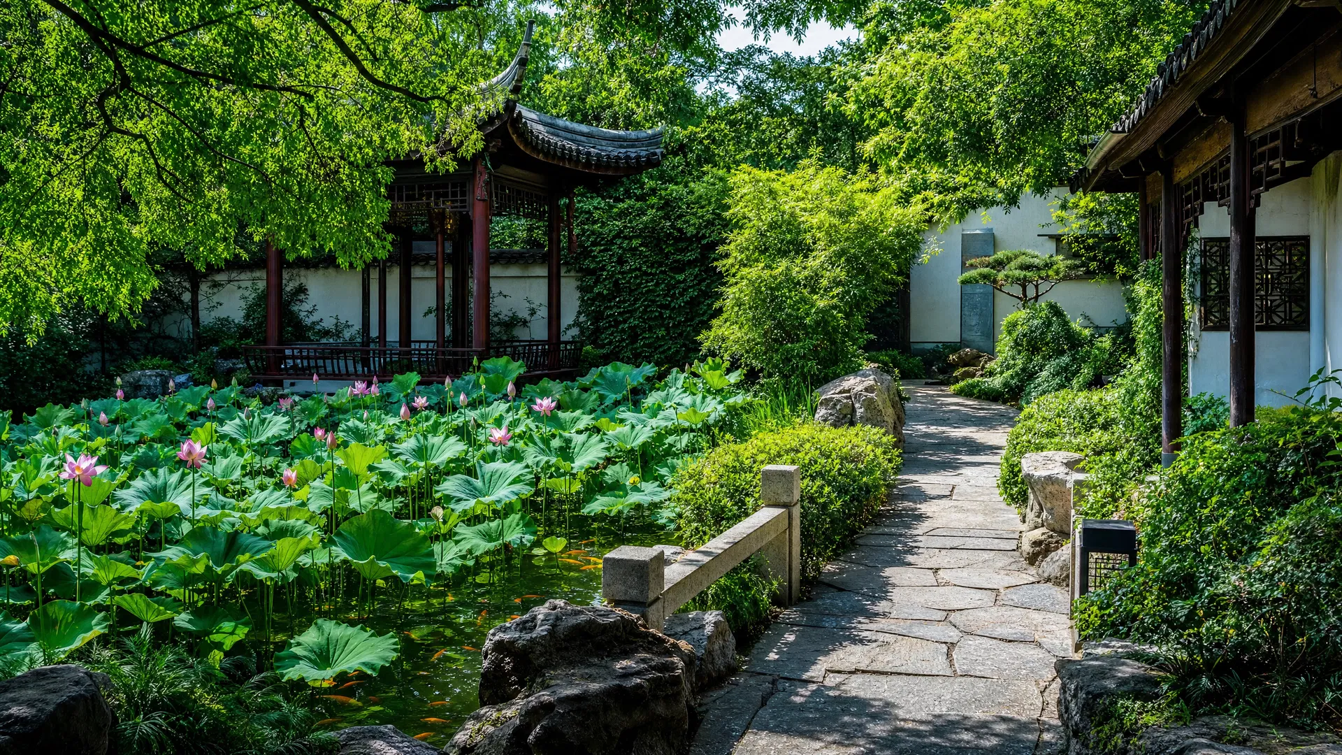 庭院景观夏景：荷叶田田、绿意浓郁的中式庭院